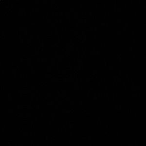 Meet your Posher, Ben